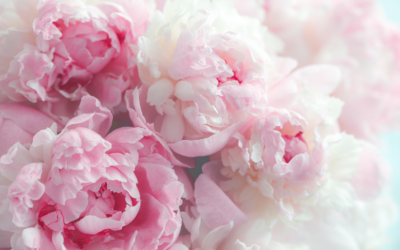 Embracing the magic of pink: how this color can transform your life